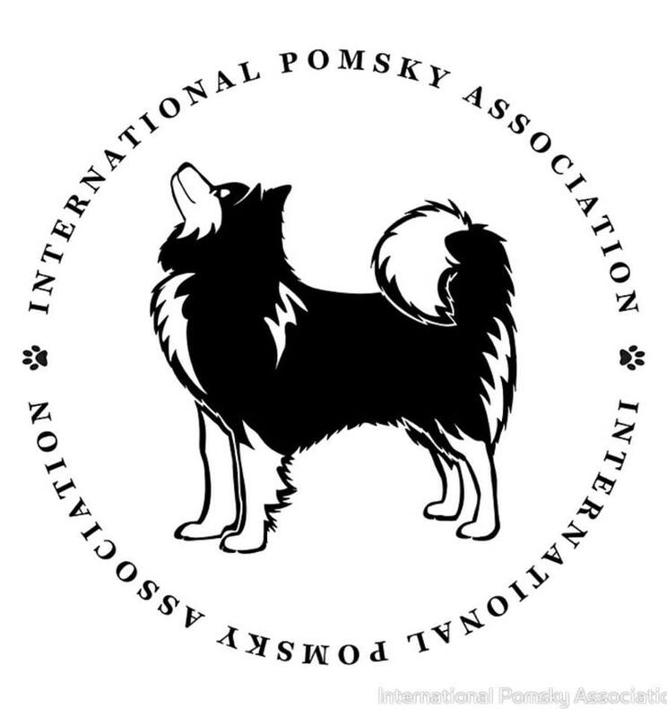 International Pomsky Association